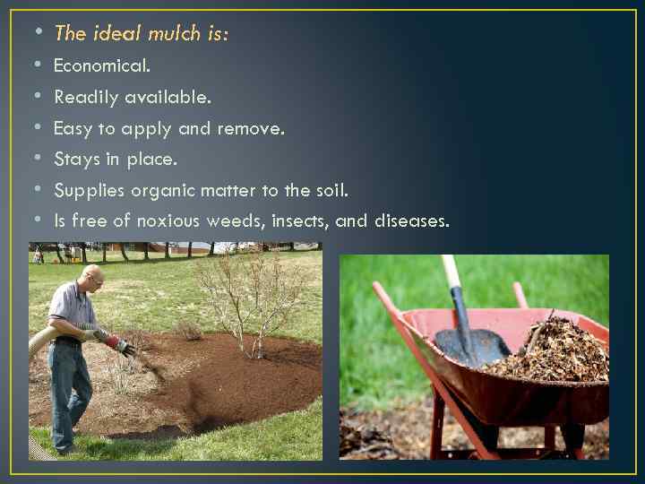  • The ideal mulch is: • • • Economical. Readily available. Easy to