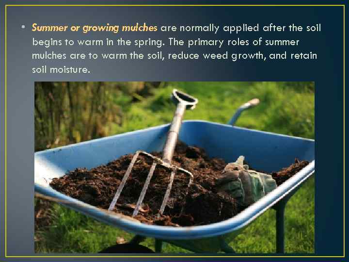  • Summer or growing mulches are normally applied after the soil begins to