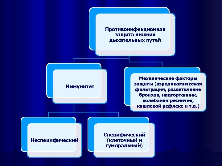 Противоинфекционная защита нижних дыхательных путей Иммунитет Неспецифический Механические факторы защиты (аэродинамическая фильтрация, разветвление бронхов,