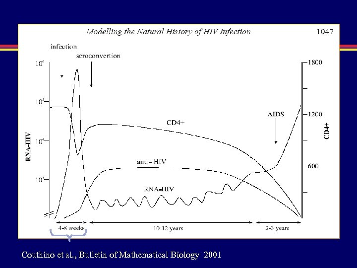 Couthino et al. , Bulletin of Mathematical Biology 2001 