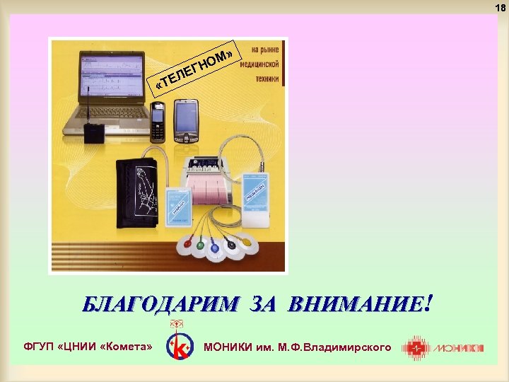 18 » М НО ЕГ Л «ТЕ БЛАГОДАРИМ ЗА ВНИМАНИЕ! ФГУП «ЦНИИ «Комета» МОНИКИ