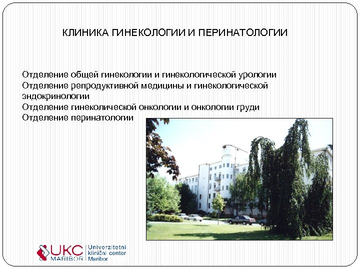 КЛИНИКА ГИНЕКОЛОГИИ И ПЕРИНАТОЛОГИИ Отделение общей гинекологии и гинекологической урологии Отделение репродуктивной медицины и
