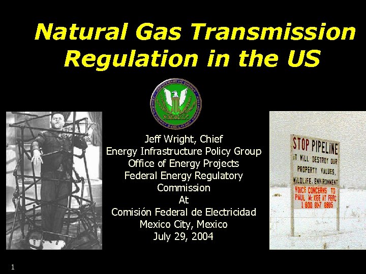 Natural Gas Transmission Regulation in the US Jeff Wright, Chief Energy Infrastructure Policy Group