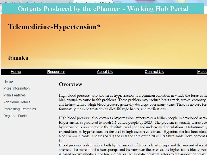 Outputs Produced by the e. Planner - Working Hub Portal 