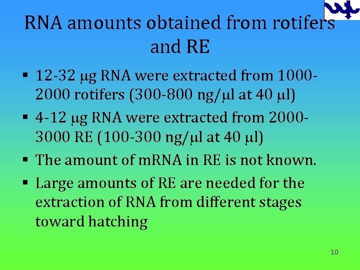 RNA amounts obtained from rotifers and RE § 12 -32 mg RNA were extracted