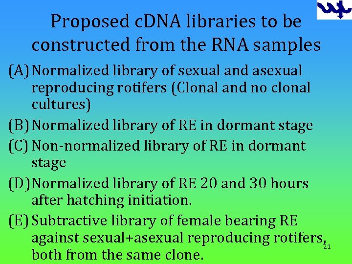 Proposed c. DNA libraries to be constructed from the RNA samples (A) Normalized library