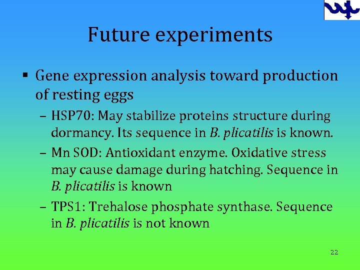 Future experiments § Gene expression analysis toward production of resting eggs – HSP 70: