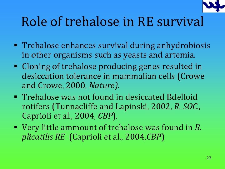 Role of trehalose in RE survival § Trehalose enhances survival during anhydrobiosis in other