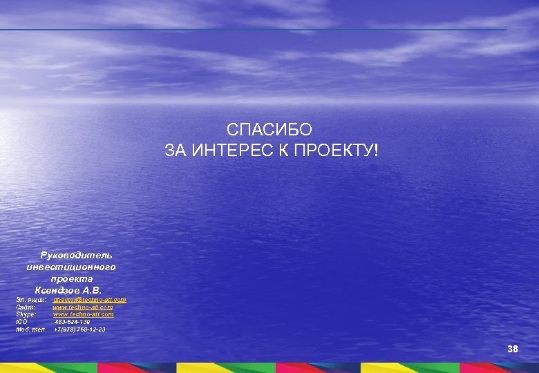 СПАСИБО ЗА ИНТЕРЕС К ПРОЕКТУ! Руководитель инвестиционного проекта Ксендзов А. В. Эл. ящик: director@techno-all.