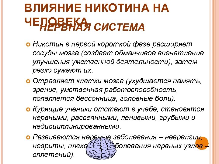 ВЛИЯНИЕ НИКОТИНА НА ЧЕЛОВЕКА СИСТЕМА НЕРВНАЯ Никотин в первой короткой фазе расширяет сосуды мозга
