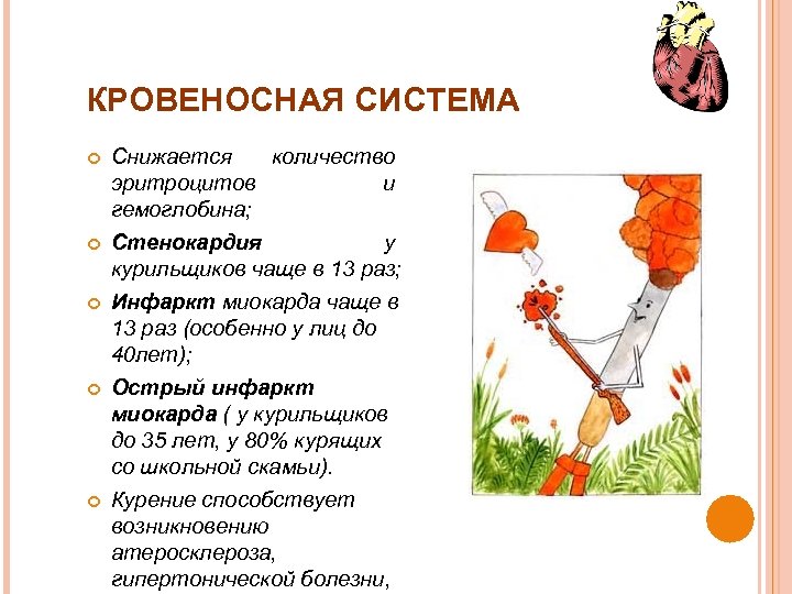 КРОВЕНОСНАЯ СИСТЕМА Снижается количество эритроцитов и гемоглобина; Стенокардия у курильщиков чаще в 13 раз;