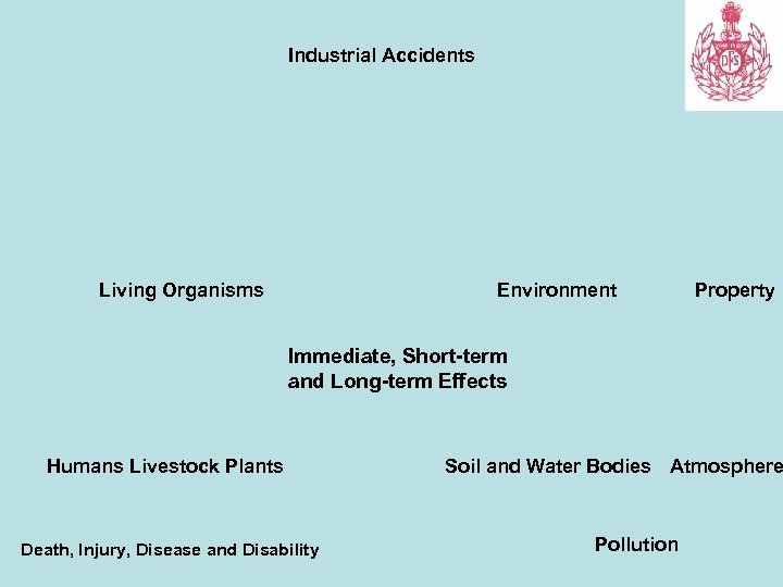 Industrial Accidents Living Organisms Environment Property Immediate, Short-term and Long-term Effects Humans Livestock Plants