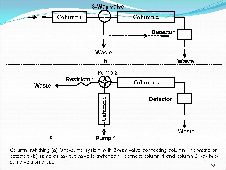 3 -Way valve Column 1 Column 2 Detector Waste b Waste Pump 2 Column