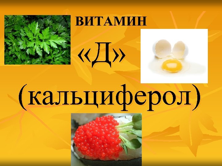 ВИТАМИН «Д» (кальциферол) 