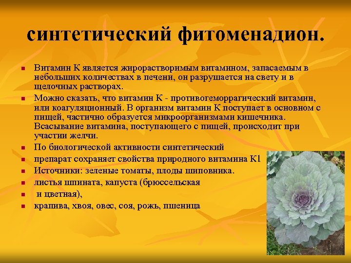 синтетический фитоменадион. n n n n Витамин К является жирорастворимым витамином, запасаемым в небольших