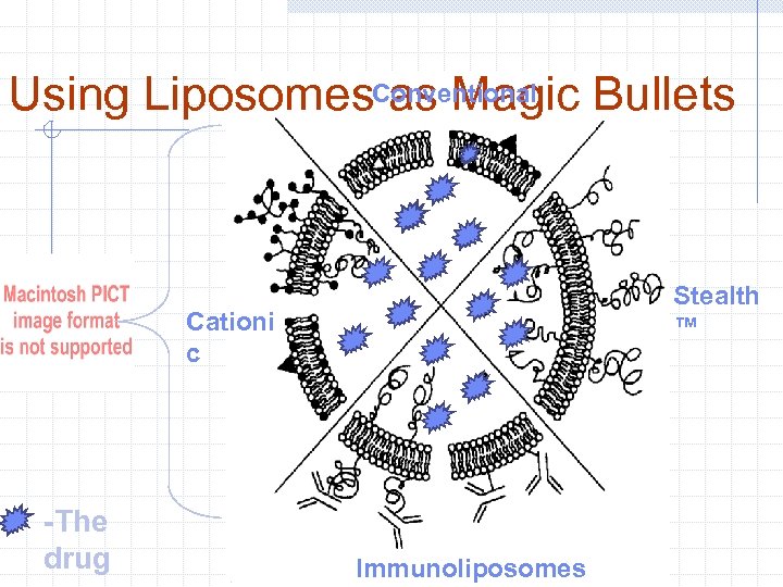 Using Liposomes. Conventional Bullets as Magic Stealth ™ Cationi c -The drug Immunoliposomes 