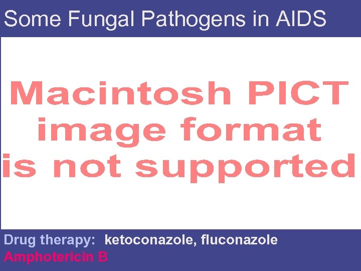 Some Fungal Pathogens in AIDS Drug therapy: : ketoconazole, fluconazole, Amphotericin B 