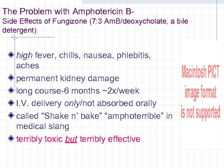 The Problem with Amphotericin BSide Effects of Fungizone (7: 3 Am. B/deoxycholate, a bile