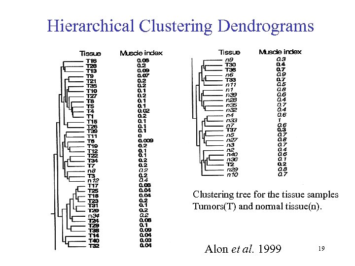 Hierarchical Clustering Dendrograms Clustering tree for the tissue samples Tumors(T) and normal tissue(n). Alon