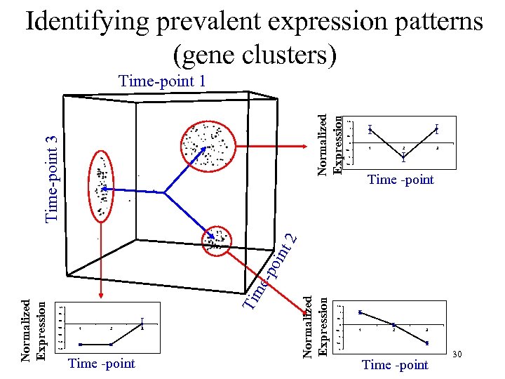 Identifying prevalent expression patterns (gene clusters) 1. 5 1 0. 5 0 1 -0.