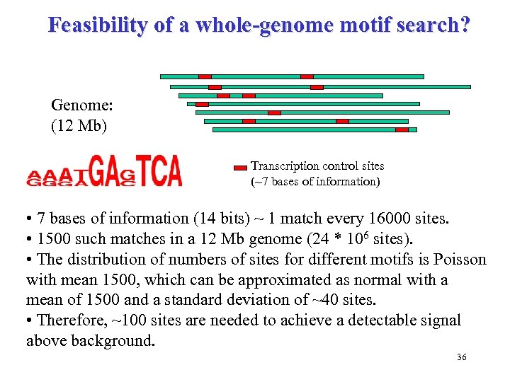 Feasibility of a whole-genome motif search? Genome: (12 Mb) Transcription control sites (~7 bases