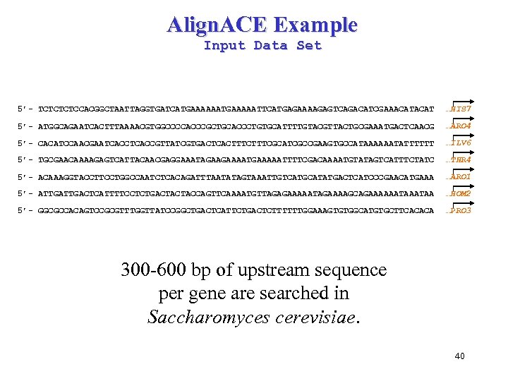 Align. ACE Example Input Data Set 5’- TCTCCACGGCTAATTAGGTGATCATGAAAAATTCATGAGAAAAGAGTCAGACATCGAAACAT …HIS 7 5’- ATGGCAGAATCACTTTAAAACGTGGCCCCACCCGCTGCACCCTGTGCATTTTGTACGTTACTGCGAAATGACTCAACG …ARO 4