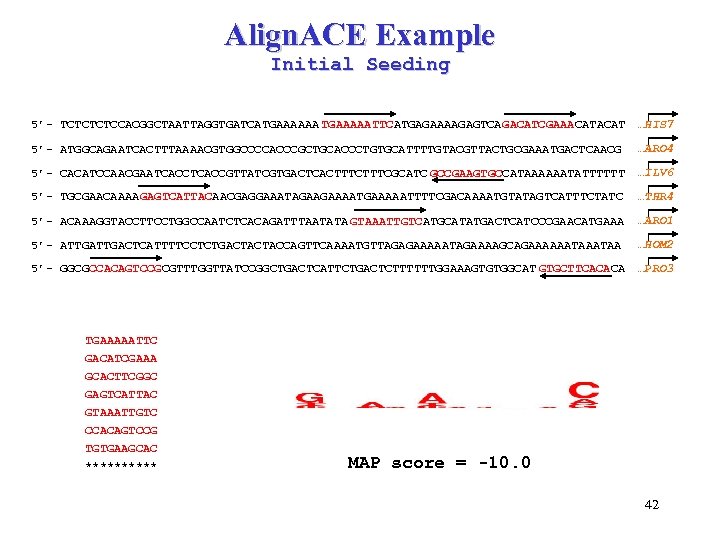 Align. ACE Example Initial Seeding 5’- TCTCCACGGCTAATTAGGTGATCATGAAAAAA TGAAAAATTCATGAGAAAAGAGTCAGACATCGAAACAT …HIS 7 5’- ATGGCAGAATCACTTTAAAACGTGGCCCCACCCGCTGCACCCTGTGCATTTTGTACGTTACTGCGAAATGACTCAACG …ARO 4