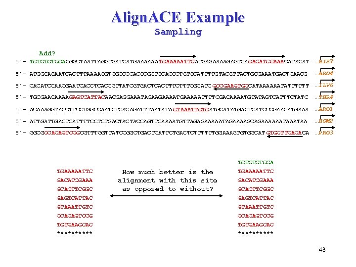 Align. ACE Example Sampling Add? 5’- TCTCCACGGCTAATTAGGTGATCATGAAAAAA TGAAAAATTCATGAGAAAAGAGTCAGACATCGAAACAT …HIS 7 5’- ATGGCAGAATCACTTTAAAACGTGGCCCCACCCGCTGCACCCTGTGCATTTTGTACGTTACTGCGAAATGACTCAACG …ARO 4