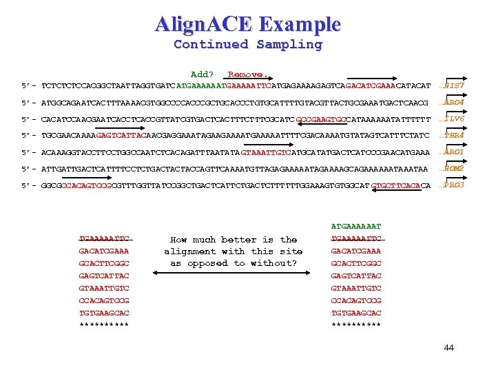 Align. ACE Example Continued Sampling Add? Remove. 5’- TCTCCACGGCTAATTAGGTGATC ATGAAAAATTCATGAGAAAAGAGTCAGACATCGAAACAT …HIS 7 5’- ATGGCAGAATCACTTTAAAACGTGGCCCCACCCGCTGCACCCTGTGCATTTTGTACGTTACTGCGAAATGACTCAACG