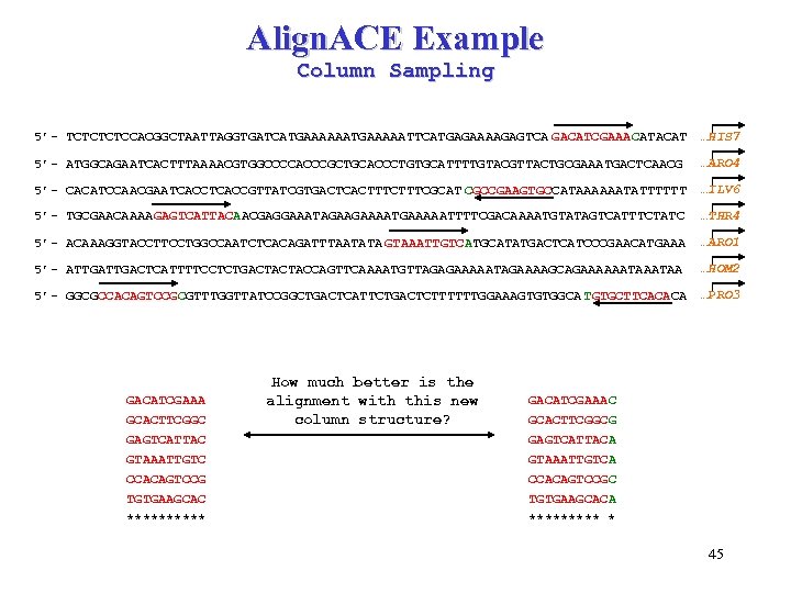 Align. ACE Example Column Sampling 5’- TCTCCACGGCTAATTAGGTGATCATGAAAAATTCATGAGAAAAGAGTCA GACATCGAAACAT …HIS 7 5’- ATGGCAGAATCACTTTAAAACGTGGCCCCACCCGCTGCACCCTGTGCATTTTGTACGTTACTGCGAAATGACTCAACG …ARO 4