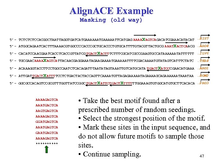 Align. ACE Example Masking (old way) 5’- TCTCCACGGCTAATTAGGTGATCATGAAAAATTCATGAG AAAAXAGTCAGACATCGAAACAT …HIS 7 5’- ATGGCAGAATCACTTTAAAACGTGGCCCCACCCGCTGCACCCTGTGCATTTTGTACGTTACTGCG AAATXACTCAACG