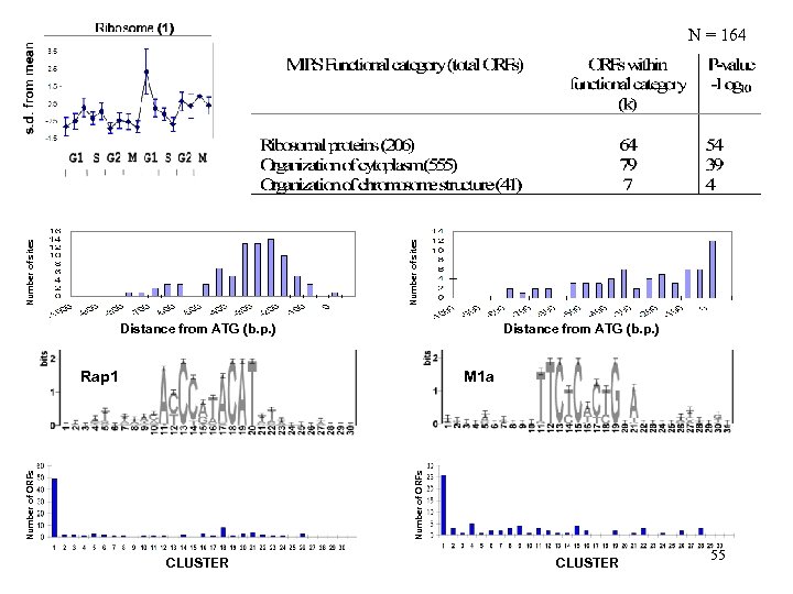 Number of sites N = 164 Distance from ATG (b. p. ) M 1