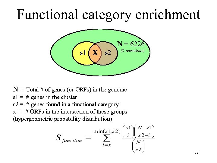 Functional category enrichment s 1 x N = 6226 s 2 (S. cerevisiae) N