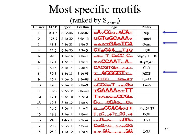 Most specific motifs (ranked by Sgroup) 65 