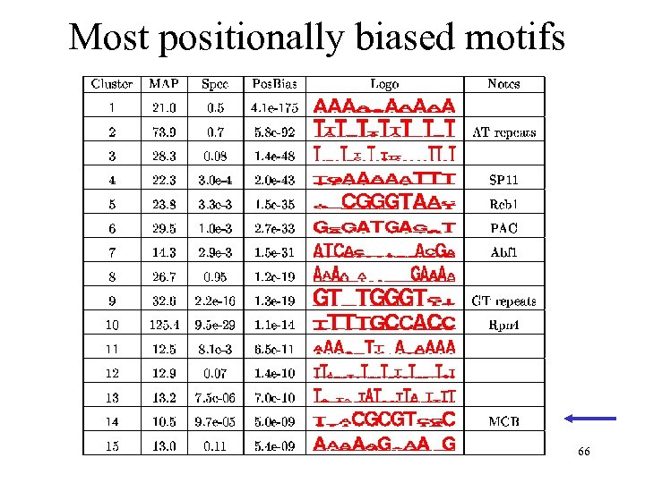 Most positionally biased motifs 66 