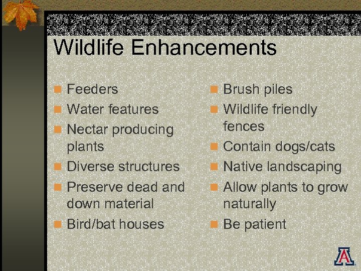 Wildlife Enhancements n Feeders n Brush piles n Water features n Wildlife friendly n