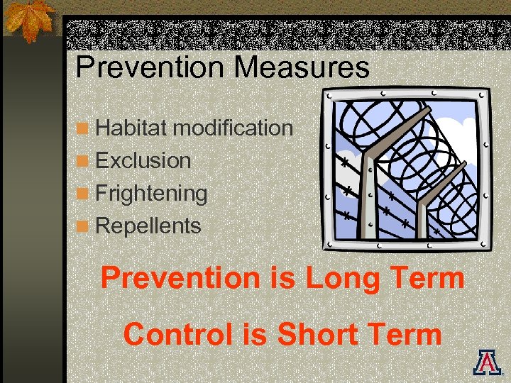 Prevention Measures n Habitat modification n Exclusion n Frightening n Repellents Prevention is Long