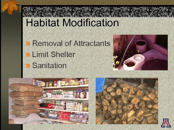 Habitat Modification n Removal of Attractants n Limit Shelter n Sanitation 