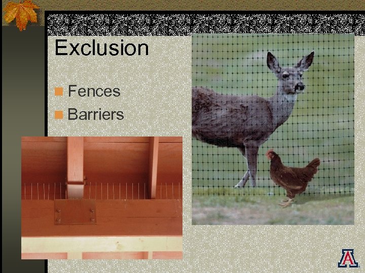 Exclusion n Fences n Barriers 