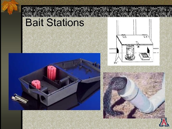 Bait Stations 