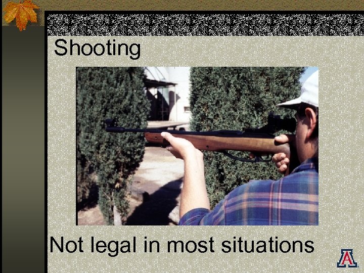 Shooting Not legal in most situations 