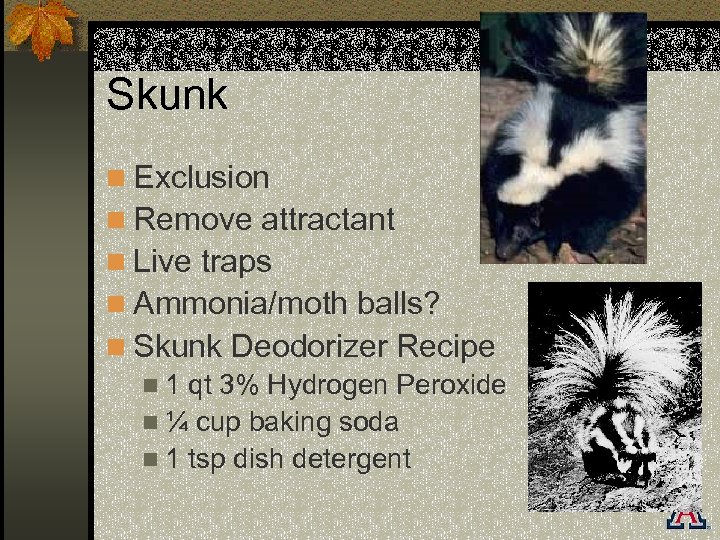 Skunk n Exclusion n Remove attractant n Live traps n Ammonia/moth balls? n Skunk