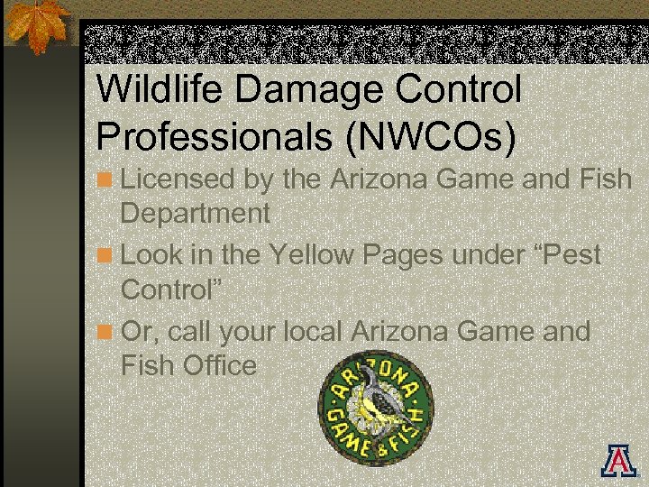 Wildlife Damage Control Professionals (NWCOs) n Licensed by the Arizona Game and Fish Department