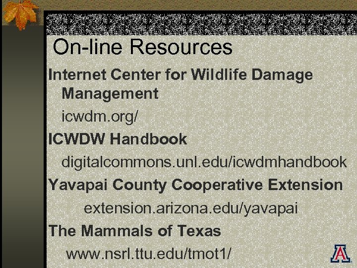 On-line Resources Internet Center for Wildlife Damage Management icwdm. org/ ICWDW Handbook digitalcommons. unl.