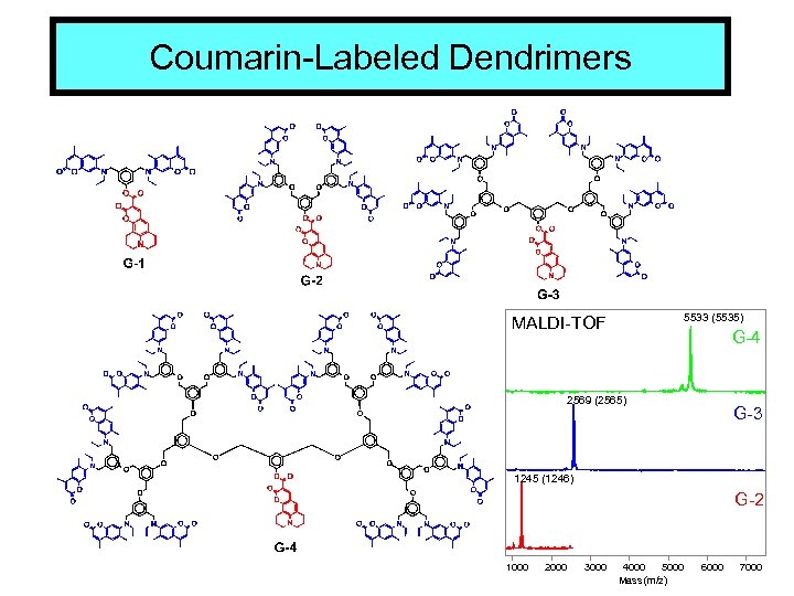 Coumarin-Labeled Dendrimers 5533 (5535) MALDI-TOF G-4 2569 (2565) G-3 1245 (1246) G-2 1000 2000