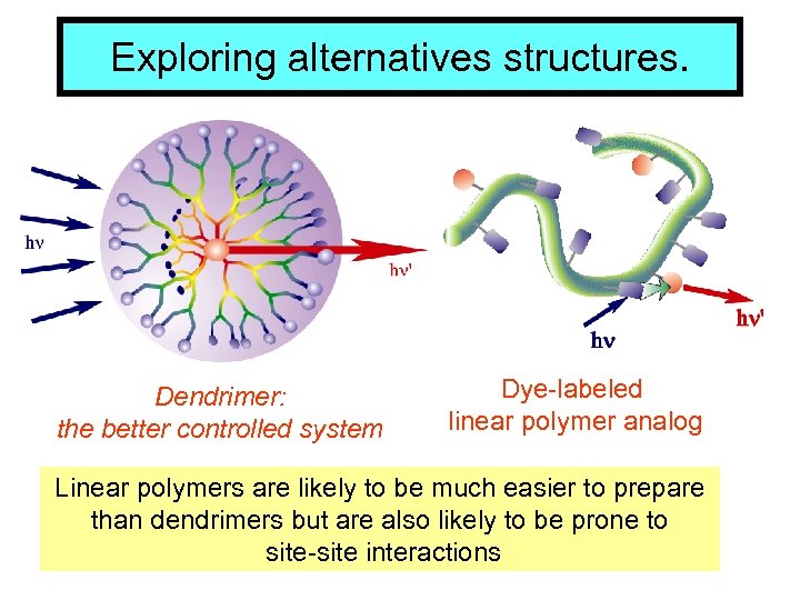 Exploring alternatives structures. Dendrimer: the better controlled system Dye-labeled linear polymer analog Linear polymers