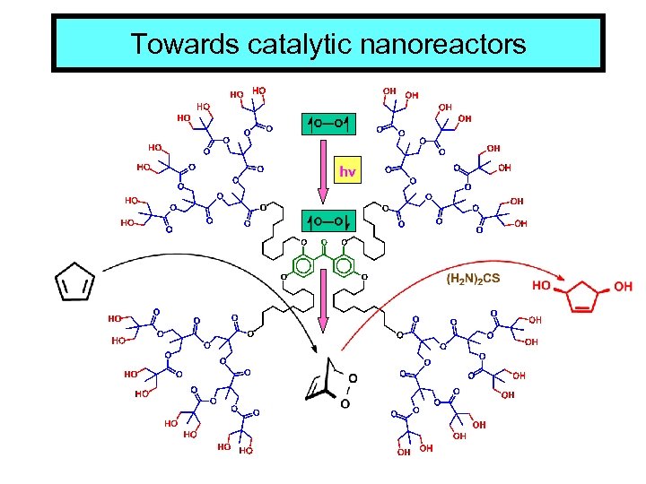 Towards catalytic nanoreactors 