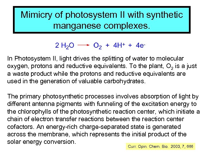 Mimicry of photosystem II with synthetic manganese complexes. In Photosystem II, light drives the