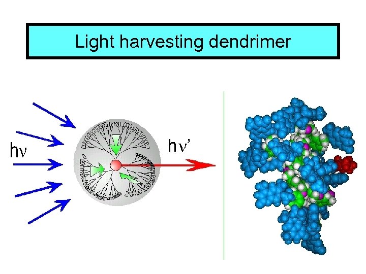 Light harvesting dendrimer 