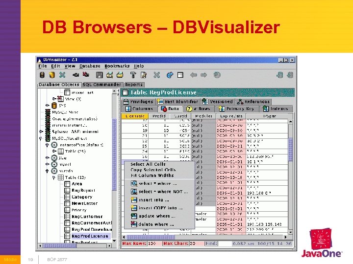 DB Browsers – DBVisualizer Middle 19 BOF 2577 